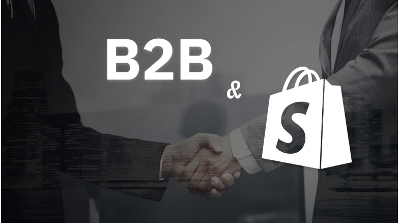 B2B in CMS Shopify